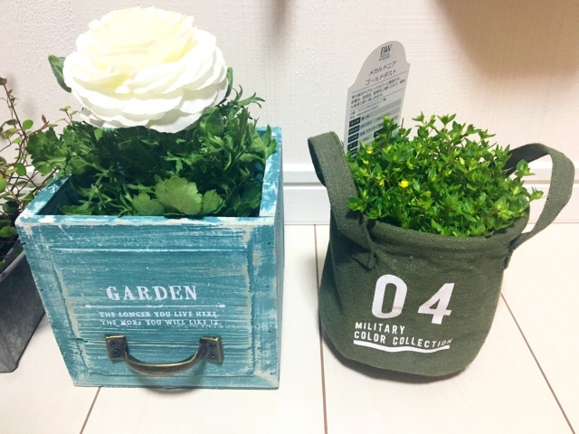 初心者向け！　簡単　ほったらかし　育つ花 　プランター　鉢植え